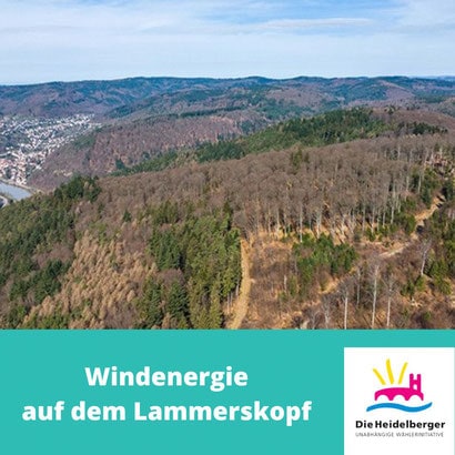 Windenergie auf dem Lammer­skopf
